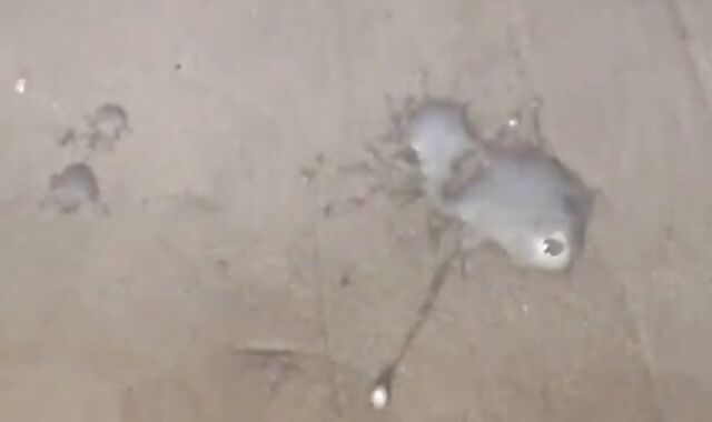 Athletes’ Conquest - Takuto Swimmers plow In Bedroom