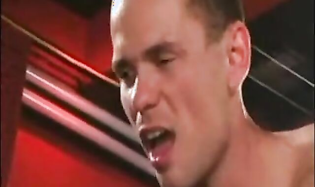 Teddies tearing up In Bar