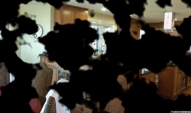 Cody Cummings: Quinn Drinks His Way to Success