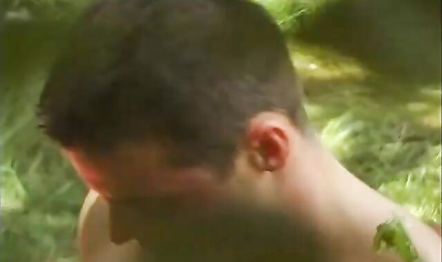 ( Hungarian)knob Gun