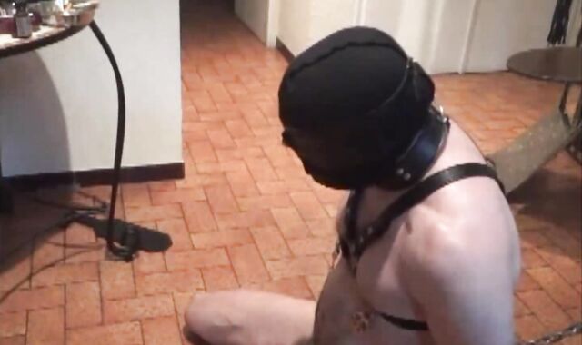 BDSM Porn HD scene 327