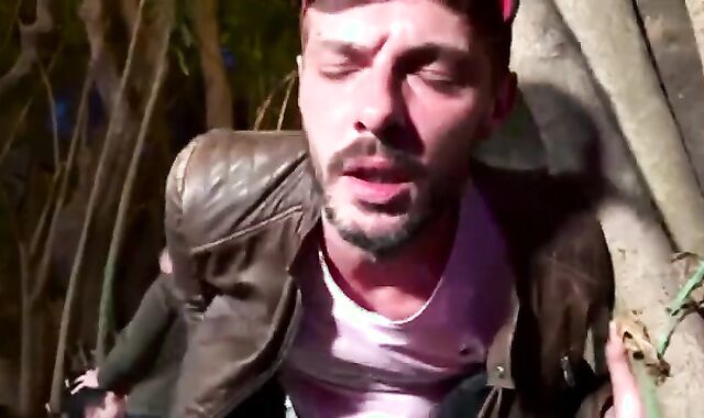 Pigs At Barcelona