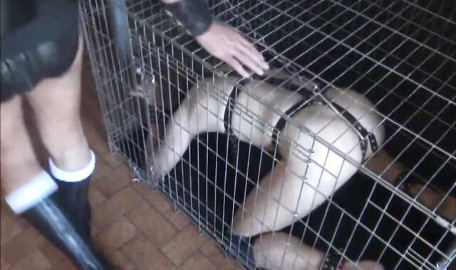 BDSM Porn HD scene 460