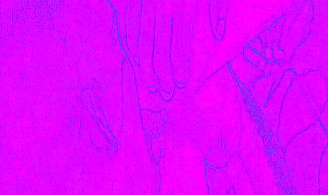 Sissy Bi to Homo Firewall Breaker Video version