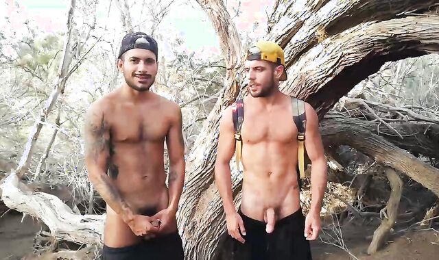 Public Cruising Tear Up