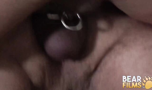 BEARFILMS Furry Grizzlies Without A Protection After Bootie Munching In Compilation