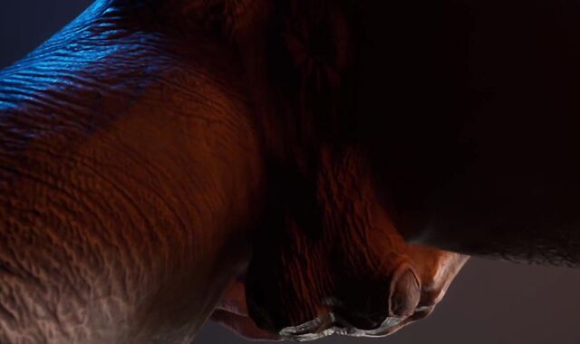 Rhino Spunks Inside Twink Fellow Stiff (Wool Frosted Queer Fucky-Fucky) / Horny Life Furries