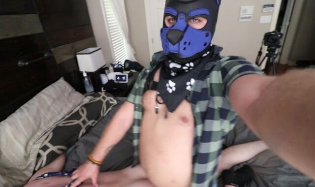 Dad Pup Submits to Dude Pup
