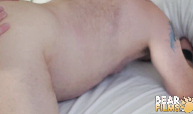 BEARFILMS Teddies Chip Youthfull And Will Stone Sans A Enjoy Mitten Rock Stiff-Core