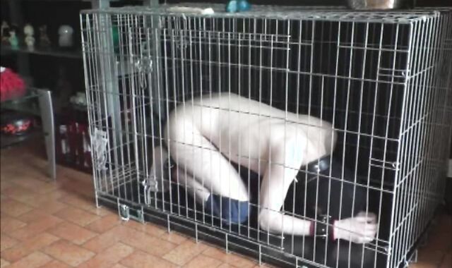 BDSM Porn HD scene 708