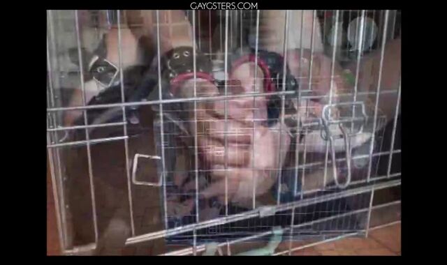 BDSM Porn HD scene 770