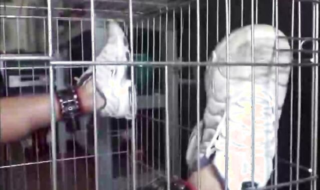 BDSM Porn HD scene 770