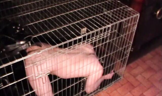BDSM Porn HD scene 93