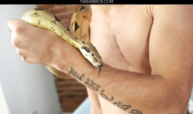 Vince Demerit and Hercules