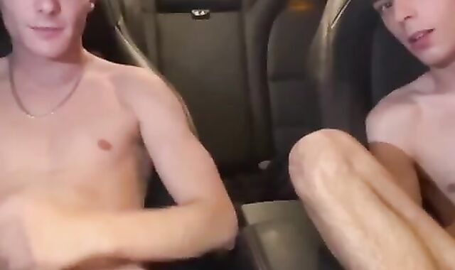 Hot Oral: Car Sucking