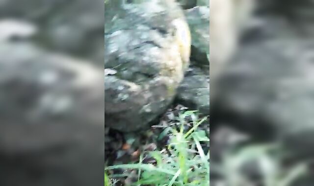 In the woods my friend's cock inside my ass