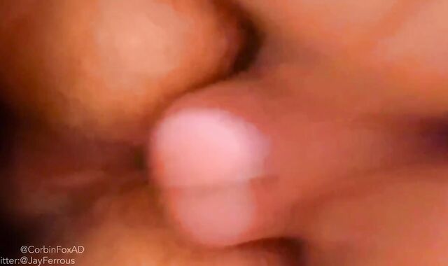 Protection-Free-For-All Pup and Fursuit Drill