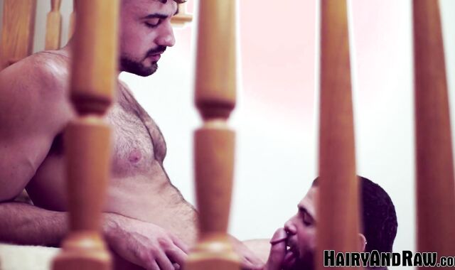 HAIRYANDRAW Domineering Mason Lear Wet Breeds Dusty Williams