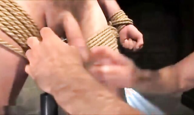 new boy acquires affixed And ripped up