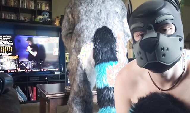 Moto knotting the pup