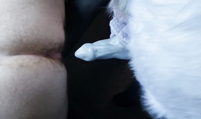 Moto knotting the pup