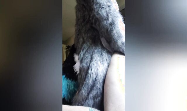 Moto knotting the pup