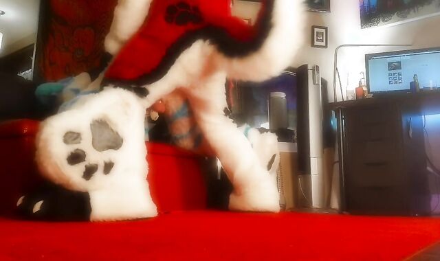 V-Card Bitch gets railed in Fursuit