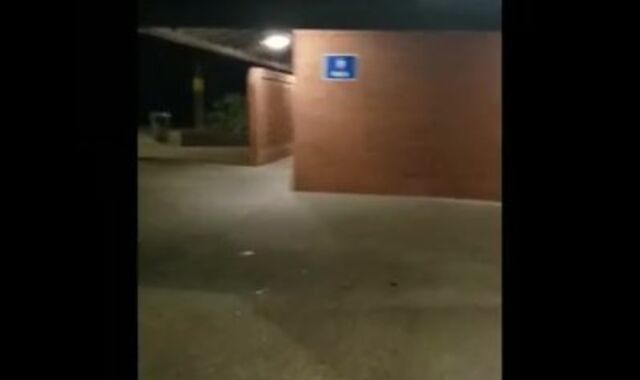 Toatally Random! 100% True