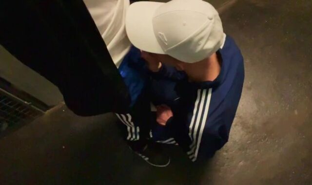 Public Twunk stud pound