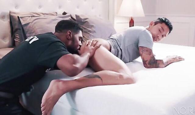 additional Security. wild gay Poke-Festival