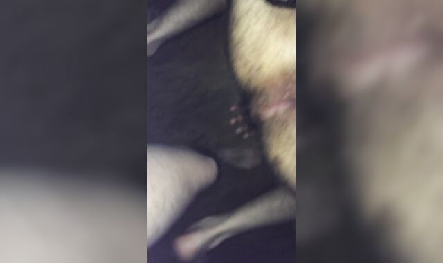 Spouse plows me while everyone s