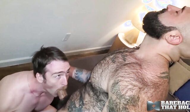 BAREBACKTHATHOLE Bearded Atlas Grant Humid Breeds Nate Steson