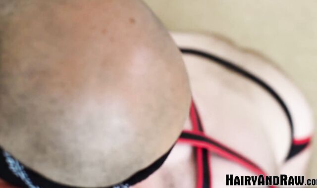 HAIRYANDRAW Fur Glazed Bear Atlas Grant Backside Breeds Harper Davis