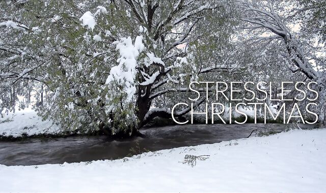 NextDoorStudios - Jingle Your Ball-Sac To This Super-Wild GONZO-Mas Episode Compilation