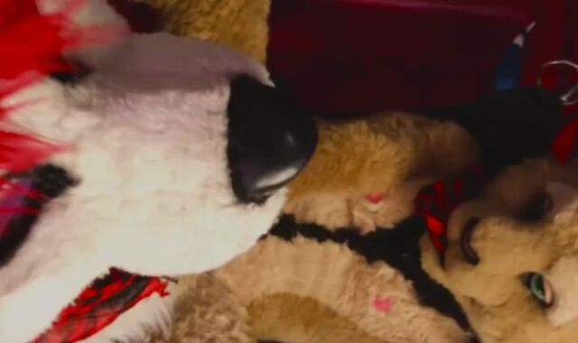 LiondogAri Group-Bang Pt 1