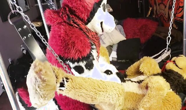 LiondogAri Group-Bang Pt 1