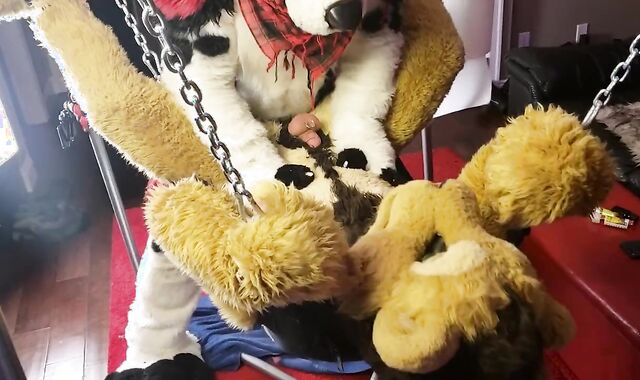 LiondogAri Group-Bang Pt 1