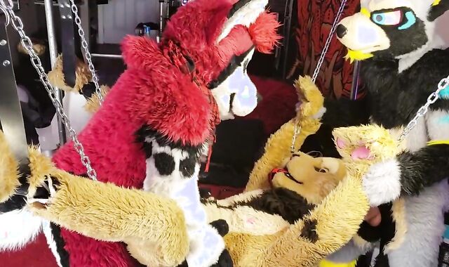 LiondogAri Group-Bang Pt 1