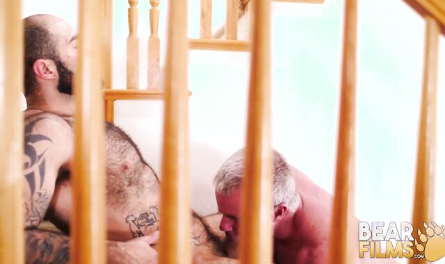 BEARFILMS Fur Covered Atlas Grant Wet Breeds Parent Dale Savage