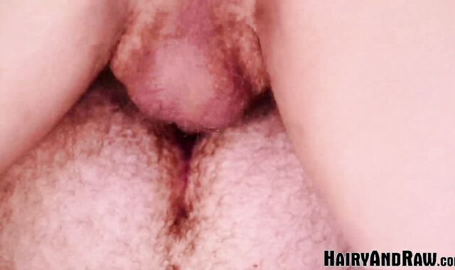 HAIRYANDRAW Fur Glazed Hairy Men Hank Aarons And Sean Knight Without A Protection