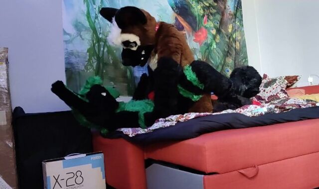 German shepherd breeds a bunny - Fursuit yiff breeding