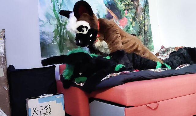 German shepherd breeds a bunny - Fursuit yiff breeding