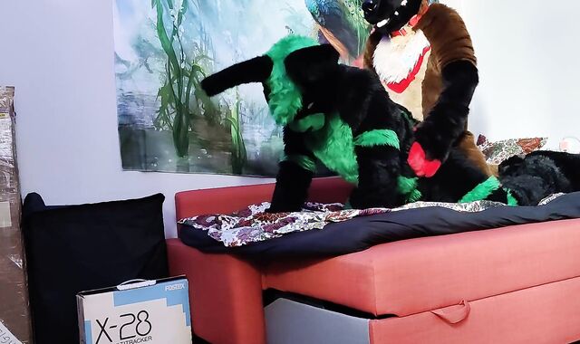 German shepherd breeds a bunny - Fursuit yiff breeding