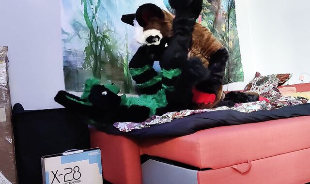 German shepherd breeds a bunny - Fursuit yiff breeding