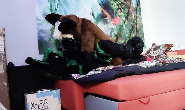 German shepherd breeds a bunny - Fursuit yiff breeding